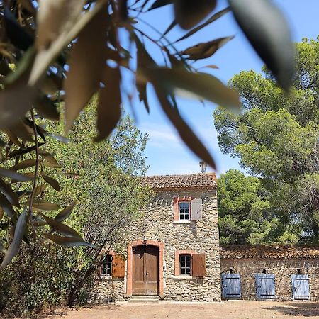 Mazet Du Chateau Joyeux De Violet Pépieux Zewnętrze zdjęcie